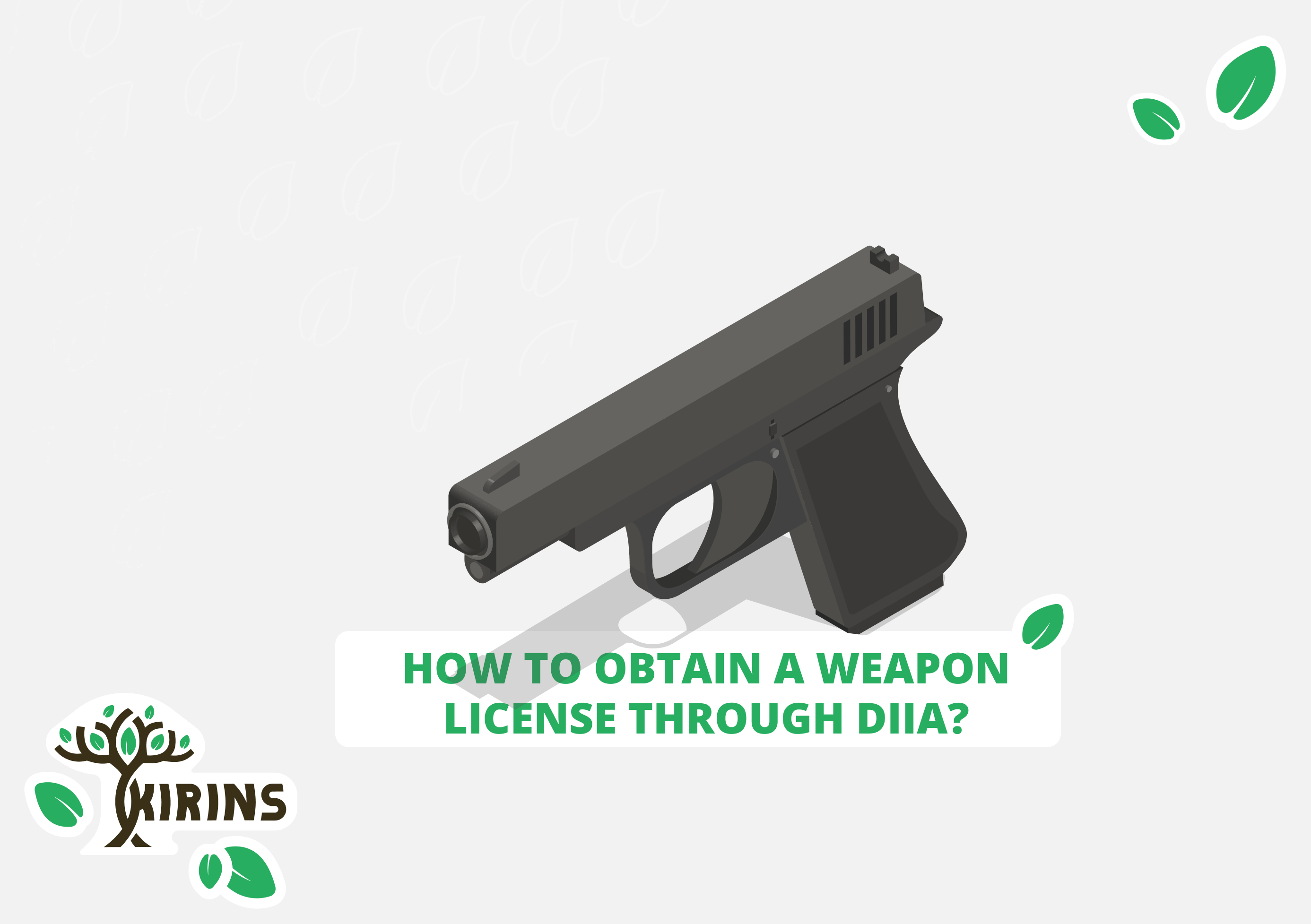 How to obtain a weapon license through Diia?