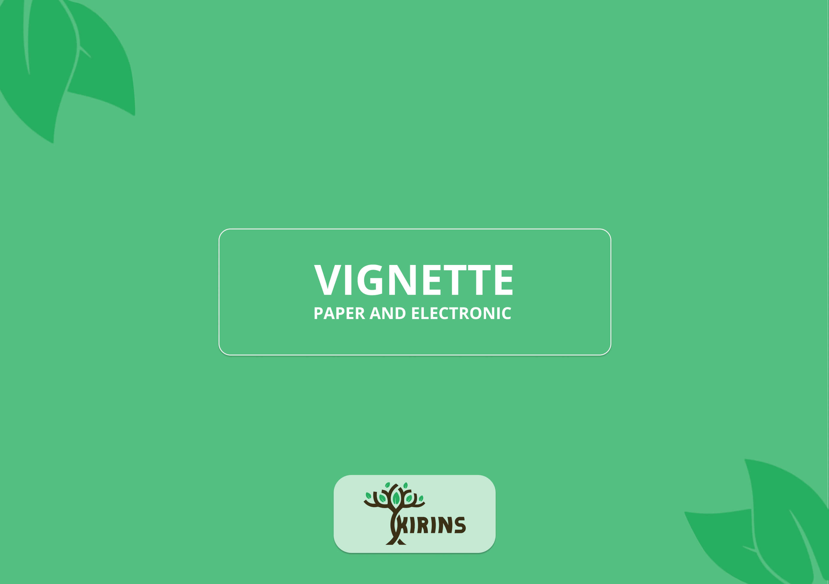 Paper and electronic vignettes: advantages and disadvantages