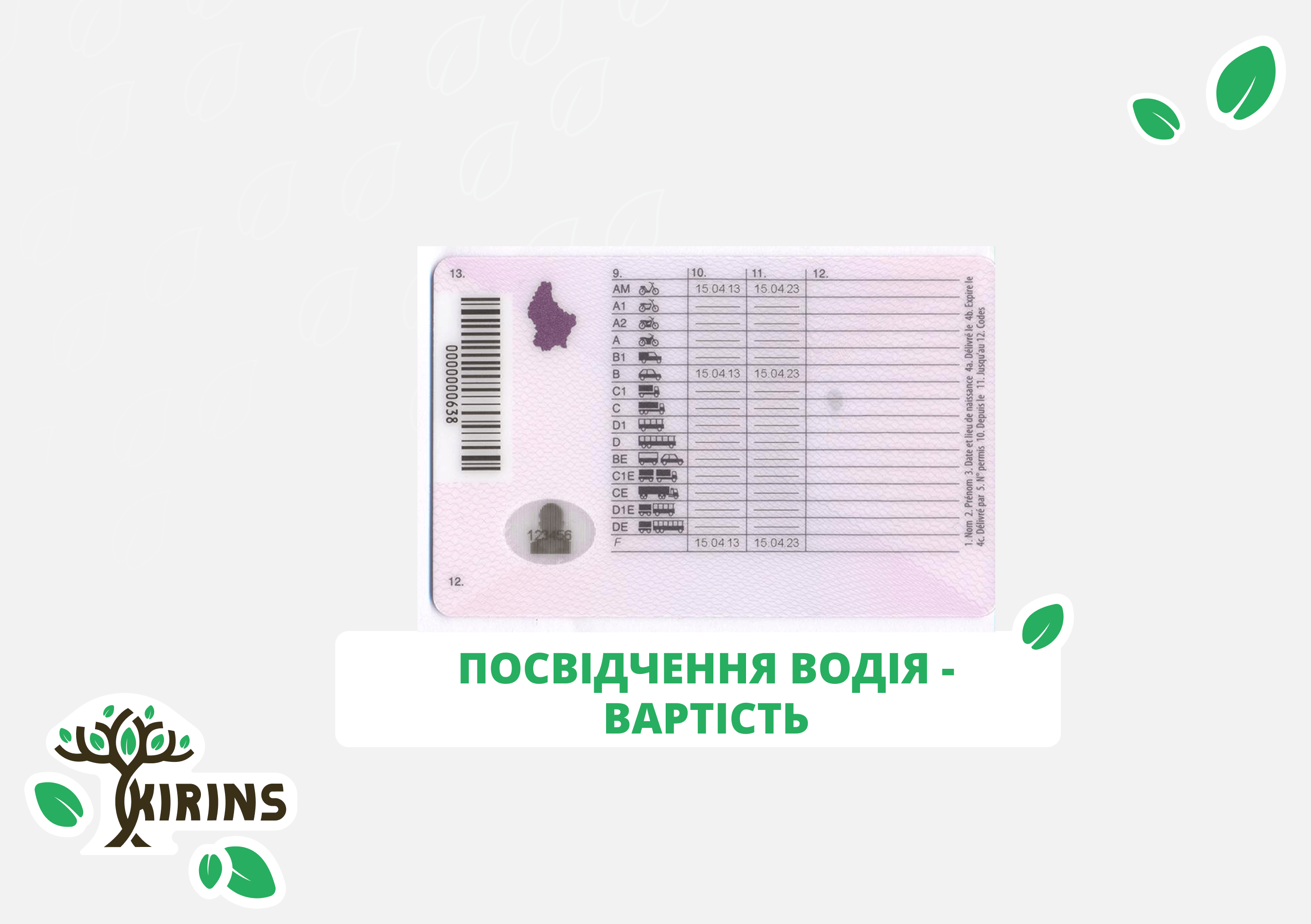 Купить права - обучение в автошколе в 2025 году